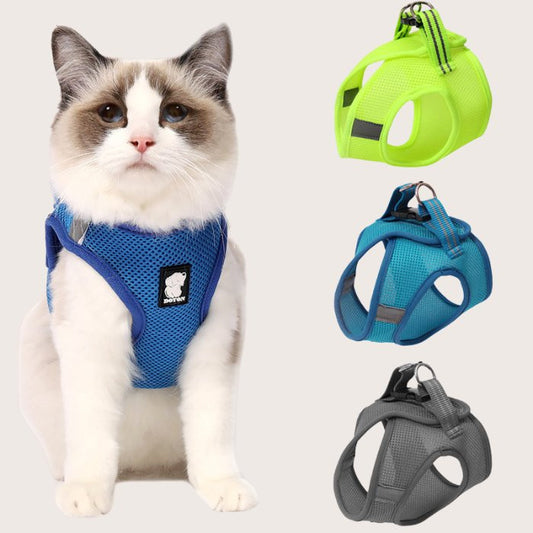 Gentle Paws™ Anti Strike Harness and Leash - Gentle Paws