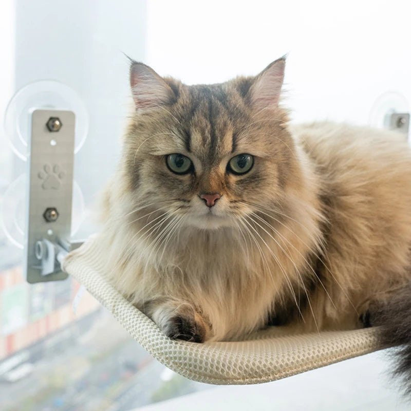 Gentle Paws™ Cat Suction Cup Window Hammock - Gentle Paws